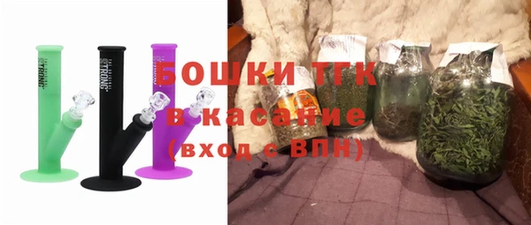 твердый Краснослободск