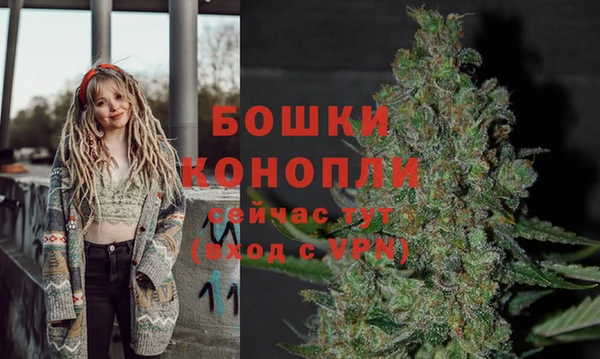 твердый Краснослободск