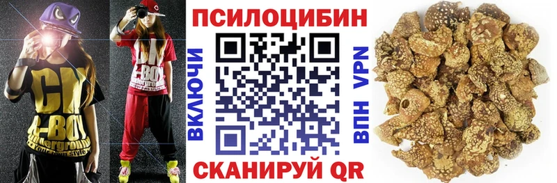 Псилоцибиновые грибы Cubensis  Кыштым 